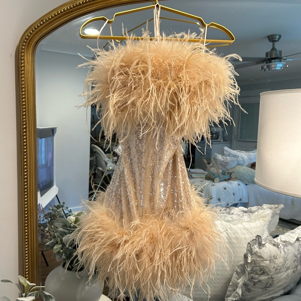 Feathered Sequin Dress in Beige